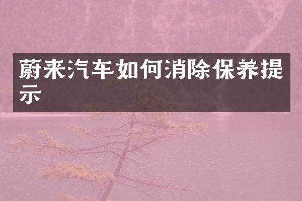 蔚来汽车如何消除保养提示