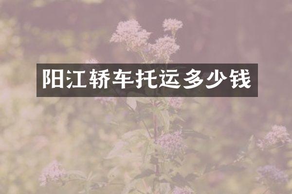 阳江轿车托运多少钱