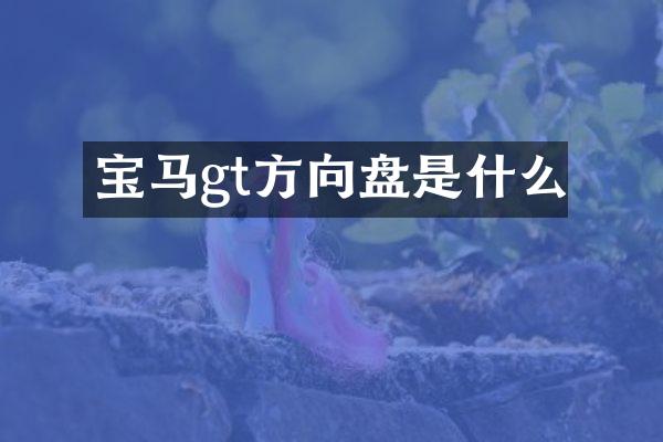 宝马gt方向盘是什么