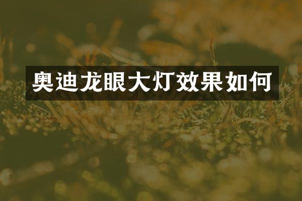 奥迪龙眼大灯效果如何