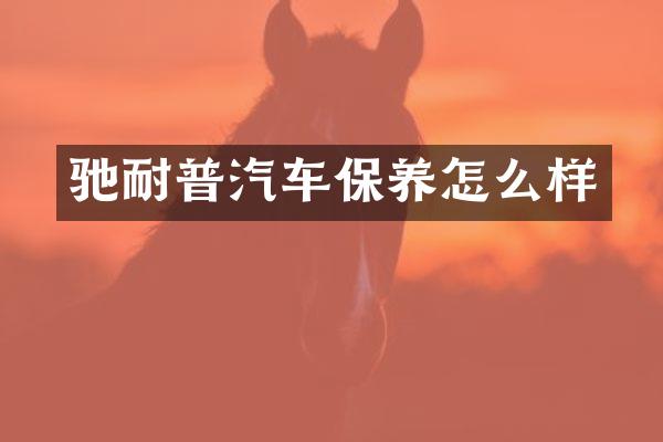 驰耐普汽车保养怎么样