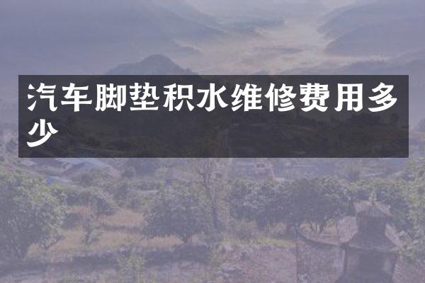 汽车脚垫积水维修费用多少