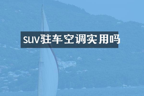 suv驻车空调实用吗