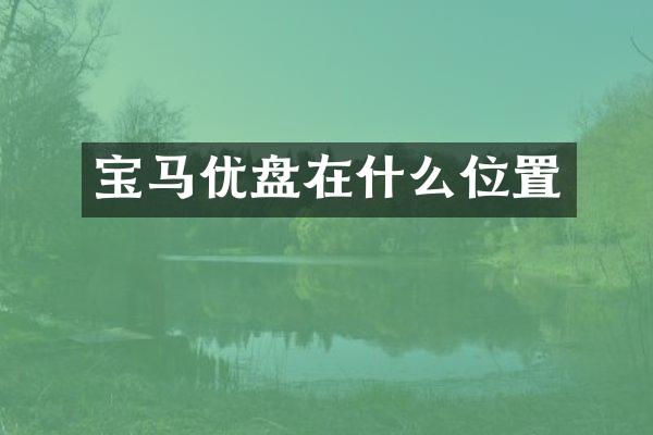 宝马优盘在什么位置