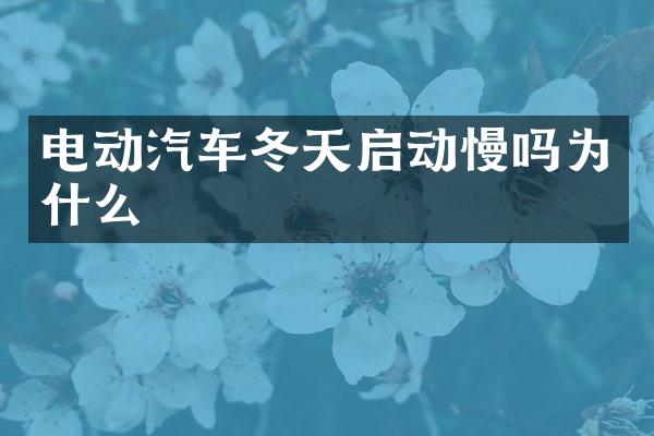 电动汽车冬天启动慢吗为什么