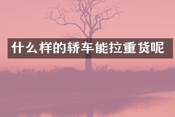 什么样的轿车能拉重货呢