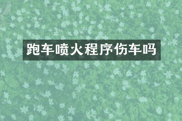 跑车喷火程序伤车吗
