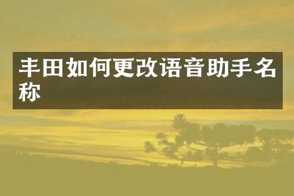 丰田如何更改语音助手名称