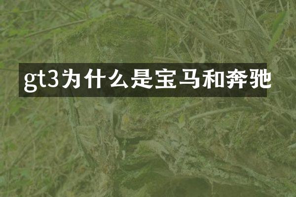 gt3为什么是宝马和奔驰