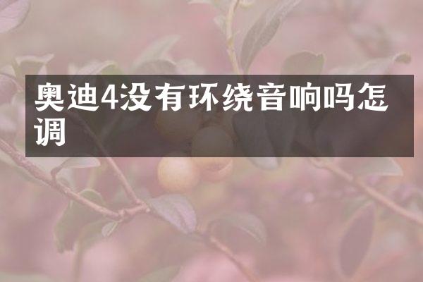 奥迪4没有环绕音响吗怎么调