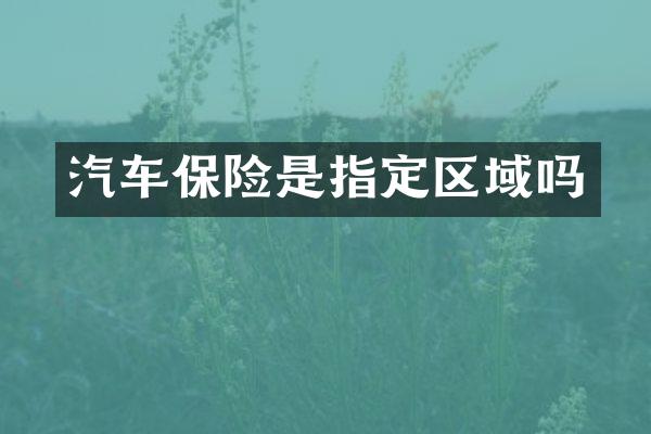 汽车保险是指定区域吗