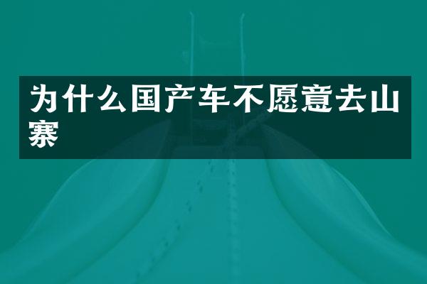 为什么国产车不愿意去山寨