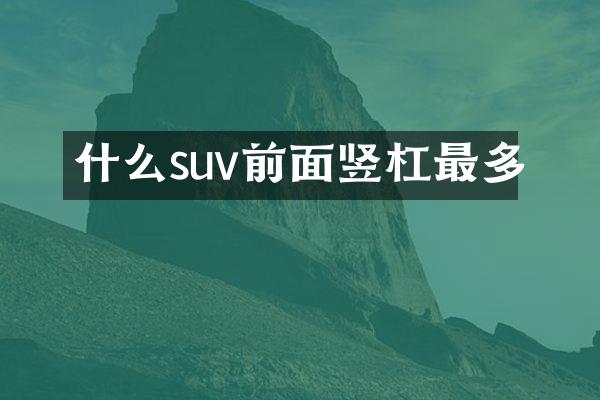 什么suv前面竖杠最多