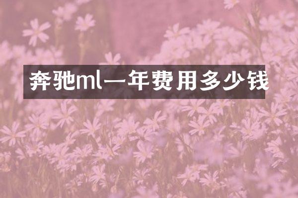 奔驰ml一年费用多少钱