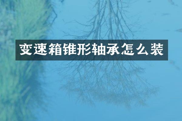 变速箱锥形轴承怎么装