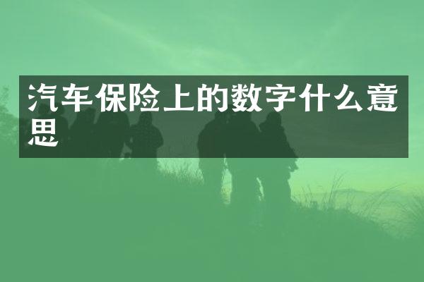 汽车保险上的数字什么意思