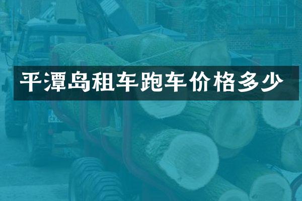 平潭岛租车跑车价格多少