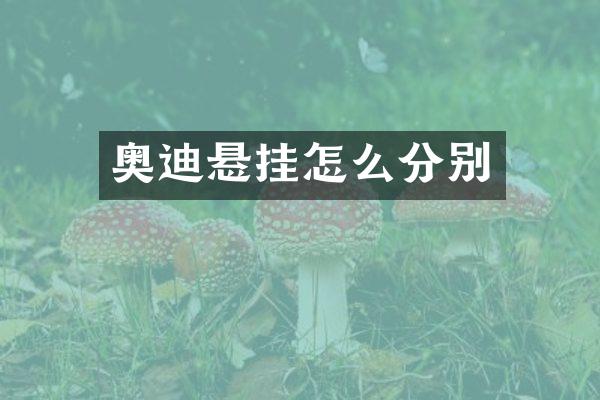 奥迪悬挂怎么分别