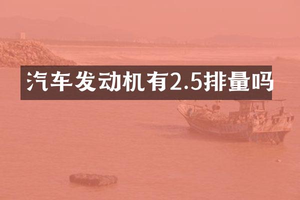 汽车发动机有2.5排量吗