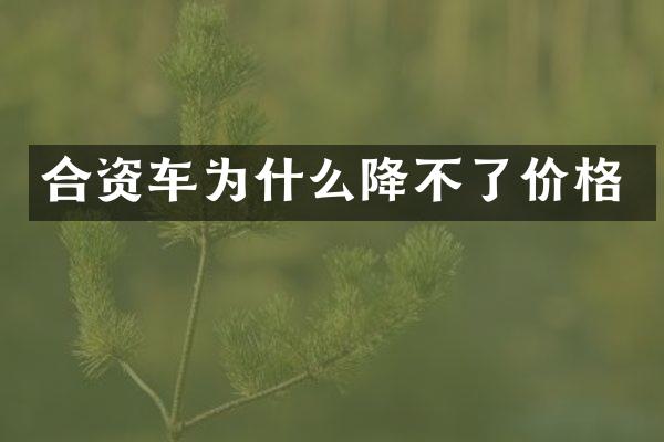 合资车为什么降不了价格