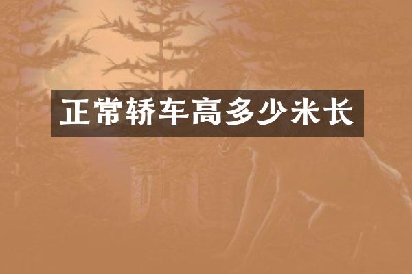 正常轿车高多少米长