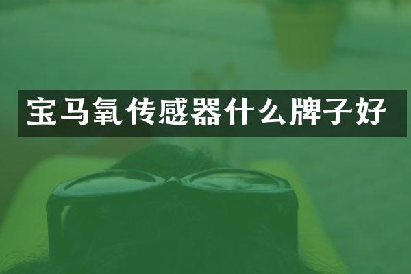 宝马氧传感器什么牌子好
