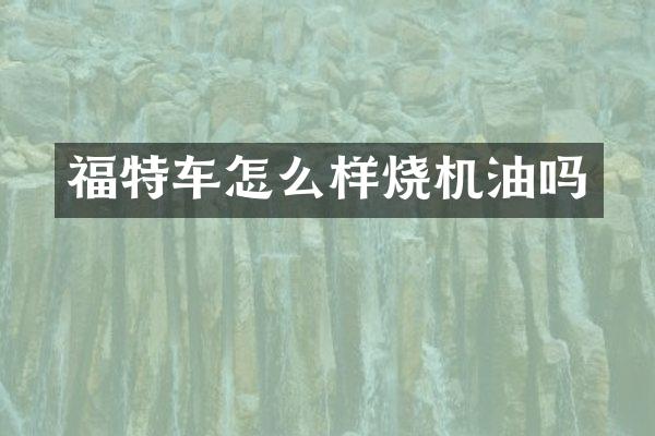 福特车怎么样烧机油吗