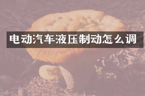 电动汽车液压制动怎么调
