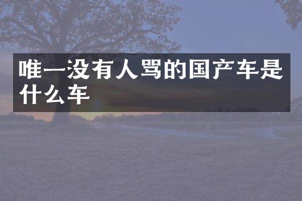唯一没有人骂的国产车是什么车