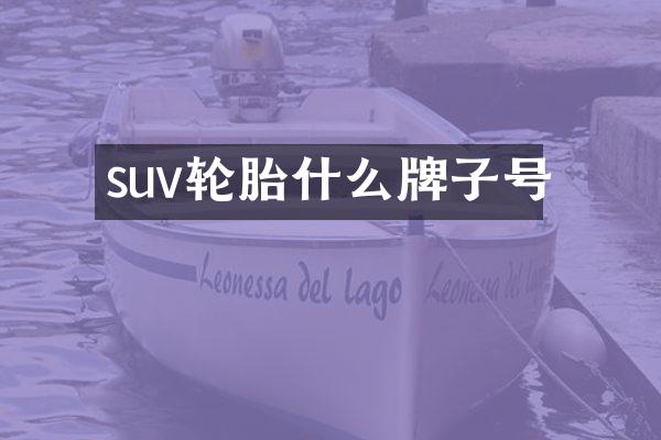 suv轮胎什么牌子号