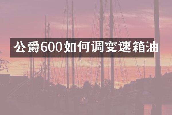 公爵600如何调变速箱油