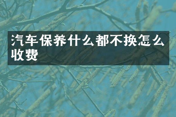 汽车保养什么都不换怎么收费