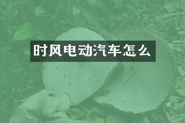 时风电动汽车怎么