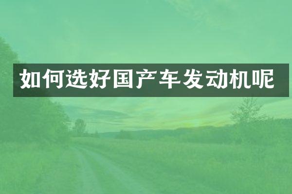 如何选好国产车发动机呢