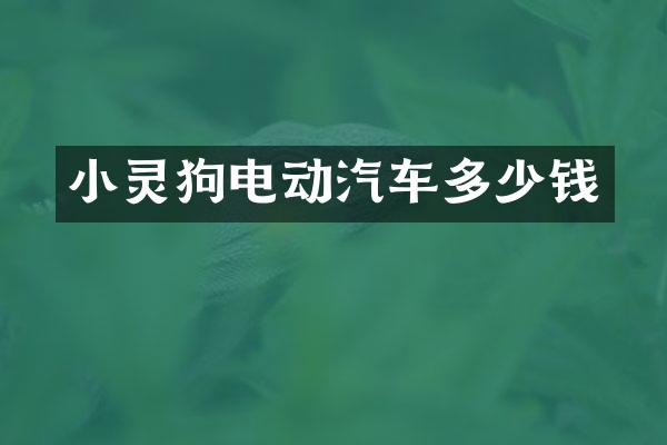 小灵狗电动汽车多少钱