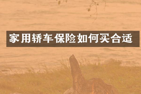 家用轿车保险如何买合适