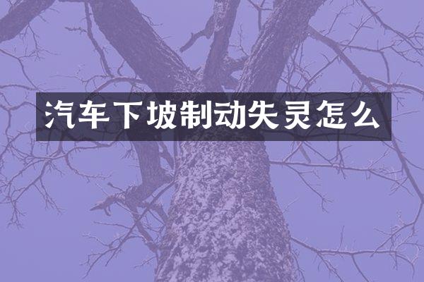 汽车下坡制动失灵怎么