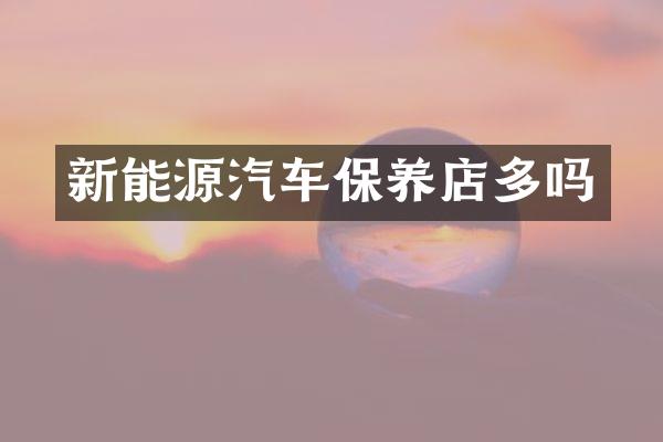 新能源汽车保养店多吗