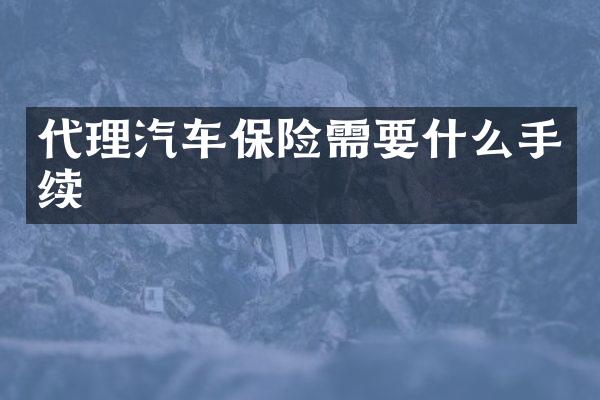 代理汽车保险需要什么手续
