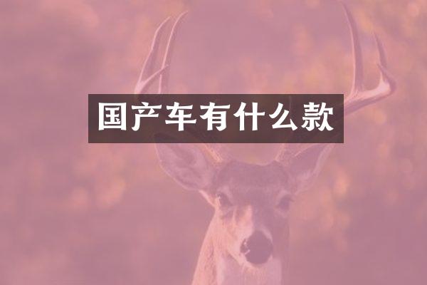 国产车有什么款
