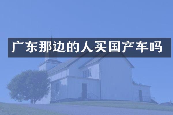 广东那边的人买国产车吗