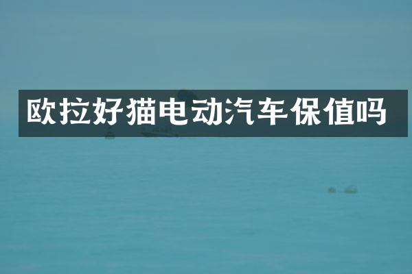欧拉好猫电动汽车保值吗