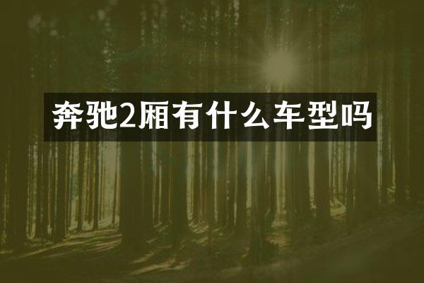 奔驰2厢有什么车型吗