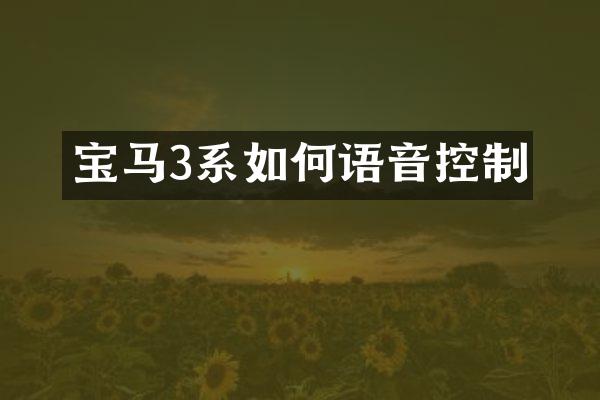 宝马3系如何语音控制