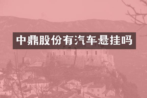 中鼎股份有汽车悬挂吗