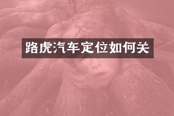 路虎汽车定位如何关