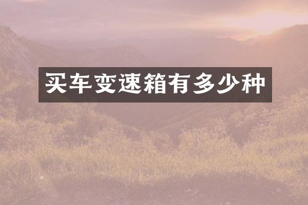 买车变速箱有多少种