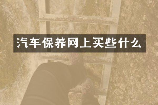 汽车保养网上买些什么