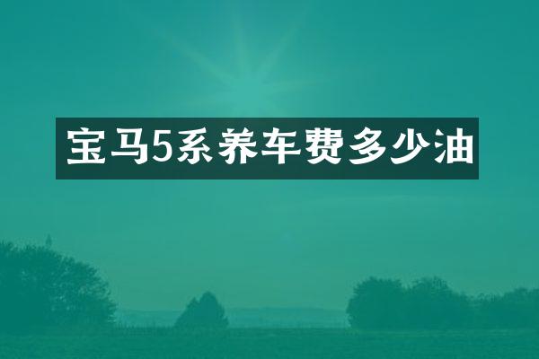 宝马5系养车费多少油