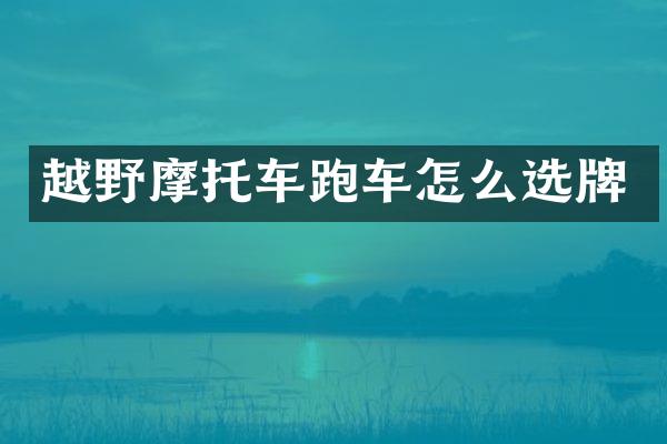 越野摩托车跑车怎么选牌